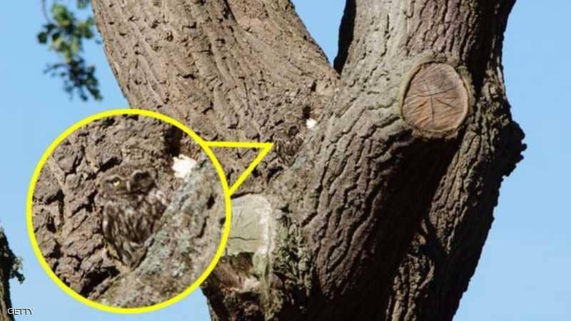 1-1228026 ØµÙØ±Ø© Ø§ÙØ¨ÙÙ