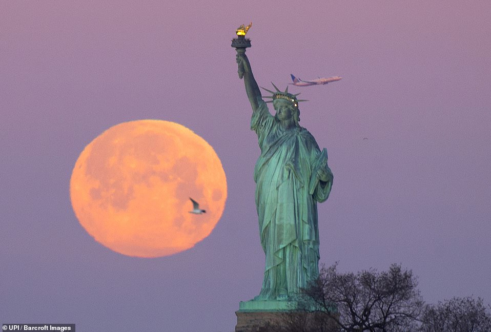 10010884-6724033-a_super_snow_moon_sets_behind_the_statue_of_liberty_shorty_after-a-4_1550650015371 A Super Snow Moon sets behind The Statue Of Liberty shorty after sunrise on Tuesday. The super snow moon is the second of three supermoon events in the first three months of the year -- a packed lunar calendar for 2019, which marks the 50th anniversary of Apollo 11