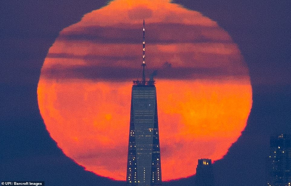 10032266-6723727-image-a-2_1550642553227 The second in a trilogy of supermoons was its biggest and brightest on Tuesday night at the time of moon rise. A Super Snow Moon rises behind One World Trade Center