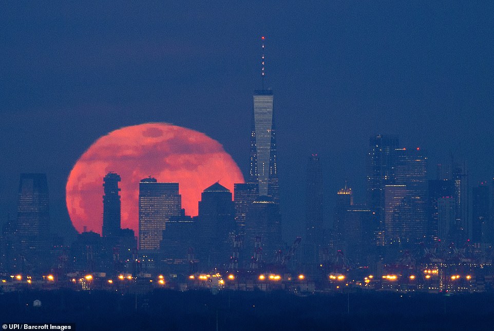 10032268-6723727-image-a-4_1550642563296 The name for the February supermoon comes from the fact that it often coincides with heavy snowfall around this time of year, according to the Old Farmer's Almanac. A Super Snow Moon rises behind One World Trade Center and the Manhattan skyline shorty after sunset in New York City