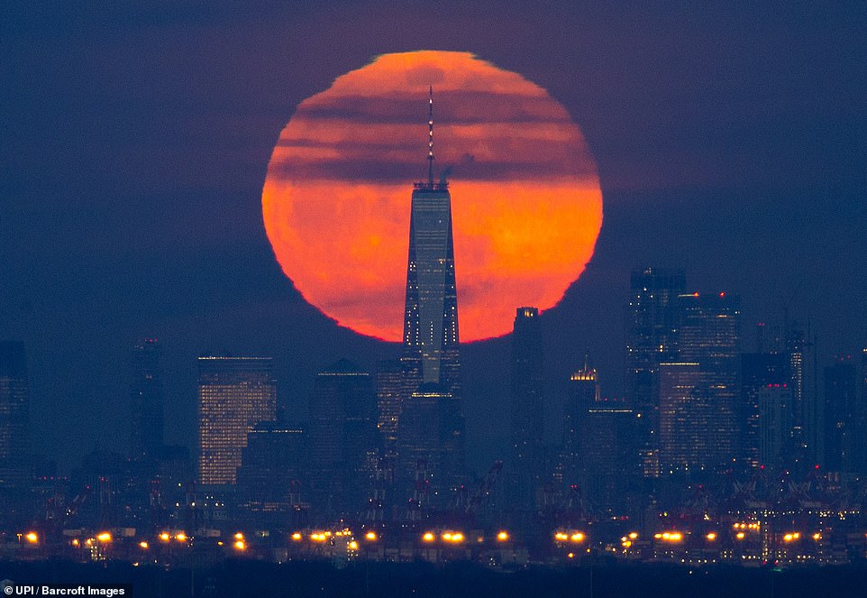 10036112-6724033-one_world_trade_centre_is_silhouetted_against_the_backdrop_of_th-a-21_1550652986867 One World Trade Centre is silhouetted against the backdrop of the moon in New York. The super snow moon is the second of three supermoon events in the first three months of the year