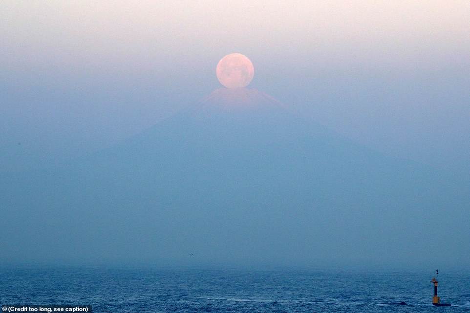 10045614-6724033-image-a-2_1550670073764 The supermoon sets over Mt. Fuji in Kanagawa, Japan. This year's largest full moon appeared to rest on the reddish summit of the Asian nation's highest peak in an event known as 'Pearl Fuji'