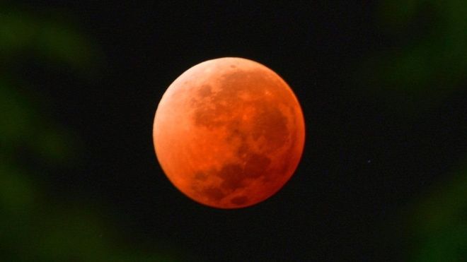 102720234_685bfc45-f621-4b40-93b8-c80173c9d047