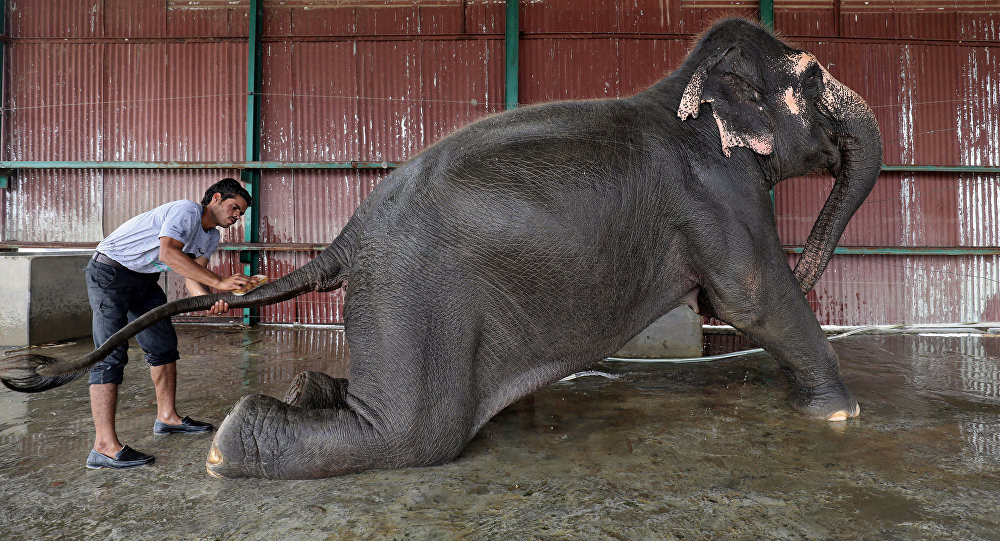 1036831511 ÙØªÙجة Ø¨ØØ« Ø§ÙØµÙر Ø¹Ù Ø§ÙØªØªØ§Ø Ø£ÙÙ Ù
ستشÙÙ ÙÙÙÙÙØ© Ù٠اÙÙÙØ¯