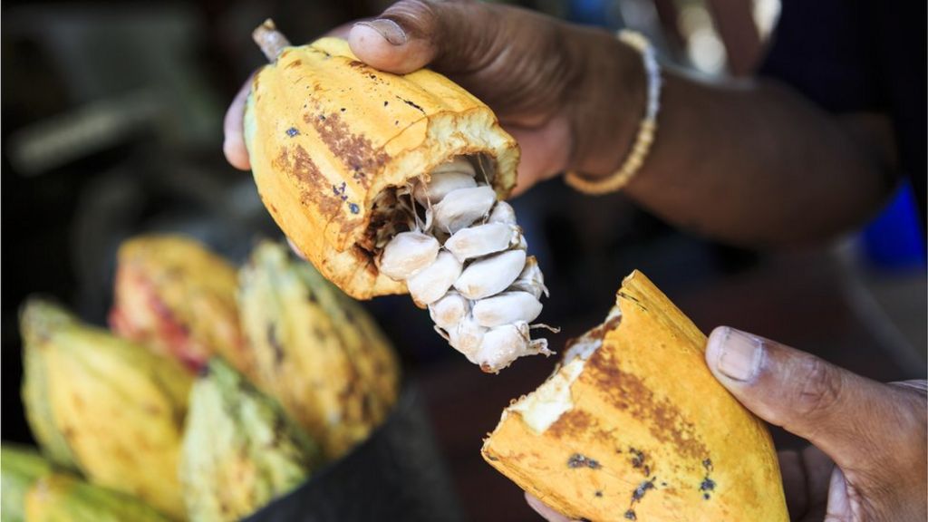 104090235_gettyimages-497710960