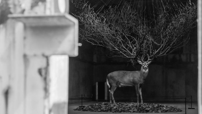 104225090_30573821498_618bec88f2_k