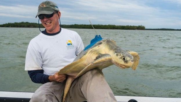 104241076_297d3887-013f-4443-bc92-3b7df7d3b805