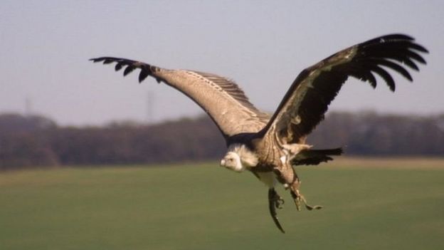 104269940_b50a4ff9-a6a8-4670-bb80-583e6c09e2d4