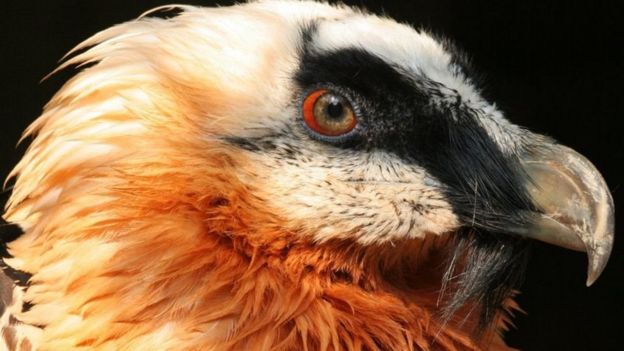 104269942_f960b06d-cccb-44d4-9b69-21caab67a96d