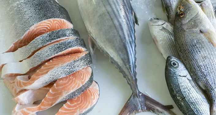 سمك السلمون الطازج في متجر سمك السلمون الطازج في متجر