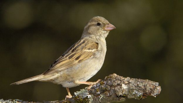 104377393_gettyimages-175254072