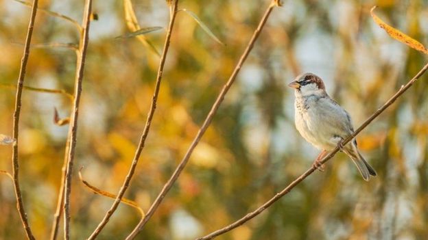 104405659_7f1c7b84-b854-41b2-9fe6-052a5351338c