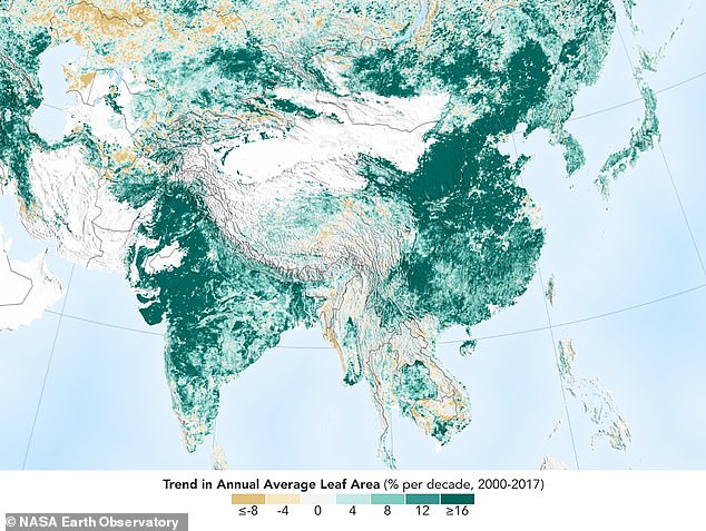 10448584-6759901-image-a-1_1551433213301 China and India have planted so many trees that the world is now greener than it was 20 years ago. NASA research discovered there is five per cent, on average, more greenery every year compared to the 2000s (pictured)