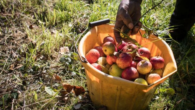 104554590_15a42c28-4b97-4946-9343-2402d8329f9d apell