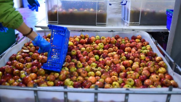 104554594_9369568f-1a83-4610-a462-1f975f6cf50c apel