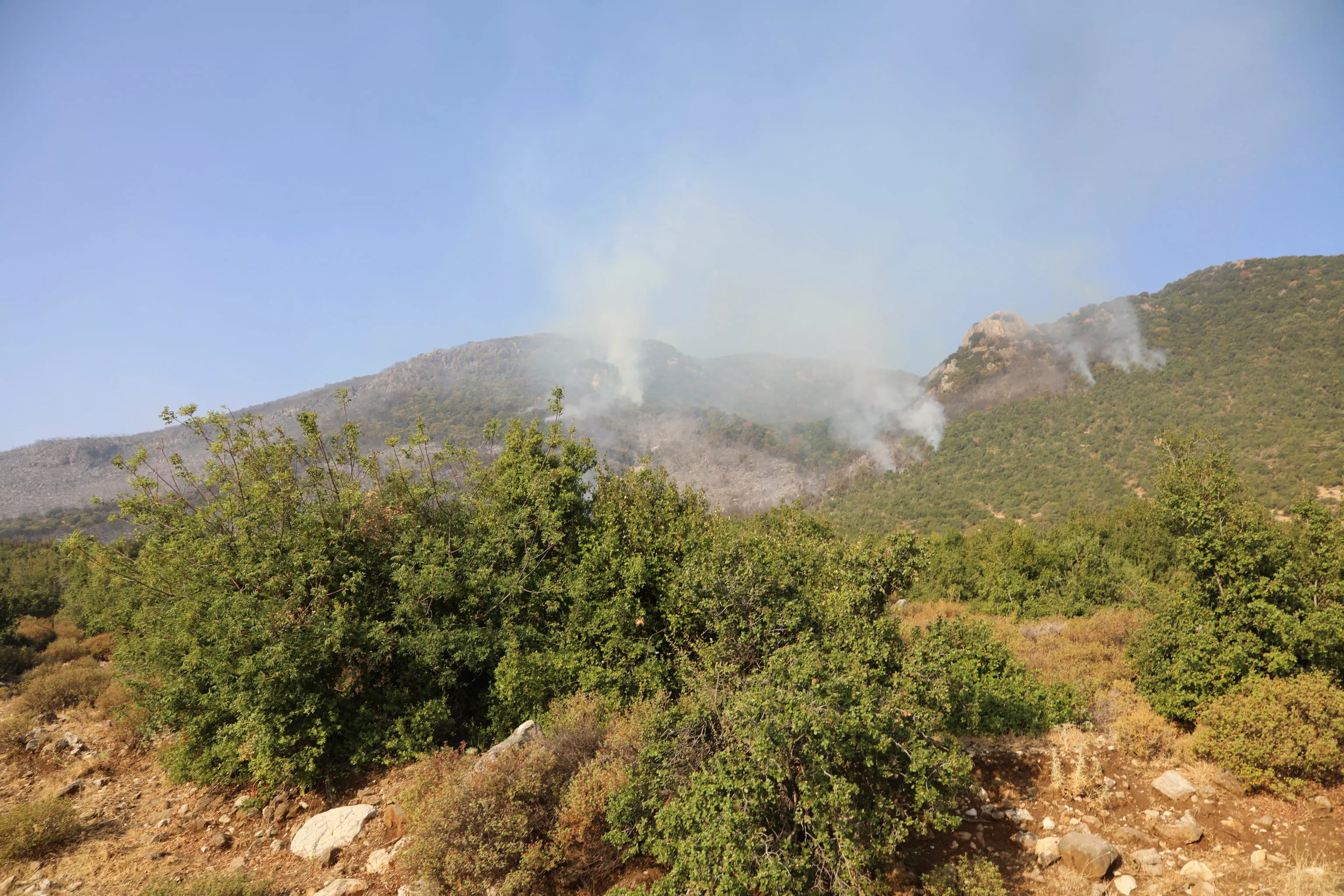 حريق غابات الساحل السوري، صلنفة 2020 حريق غابات الساحل السوري، صلنفة 2020