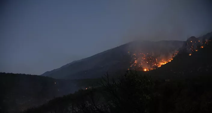 حريق غابات الساحل السوري، صلنفة 2020