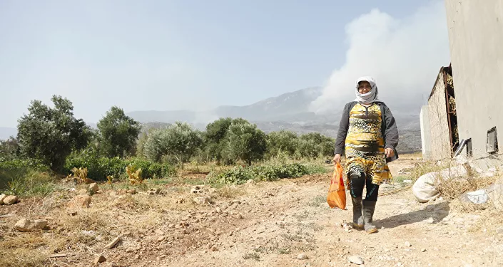 حريق غابات الساحل السوري، صلنفة 2020