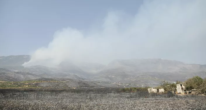 حريق غابات الساحل السوري، صلنفة 2020