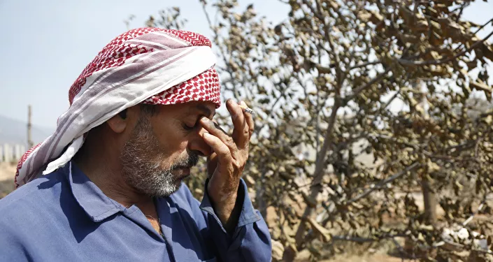 حريق غابات الساحل السوري، صلنفة 2020