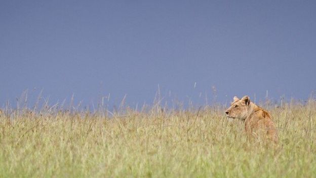 104725073_560b7361-7d24-4be2-9073-9b94e03c4f18