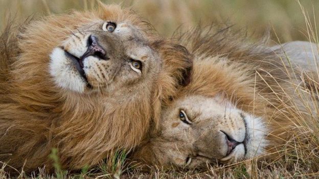 104725305_97d50332-769f-4505-8546-bbd997b20b3e