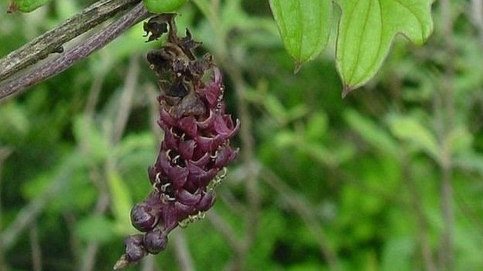 104904726_828b2bfc-c9d8-42c1-bf3c-4613ec892656 ÙØªÙجة Ø¨ØØ« Ø§ÙØµÙر Ø¹Ù ÙØ§Ù