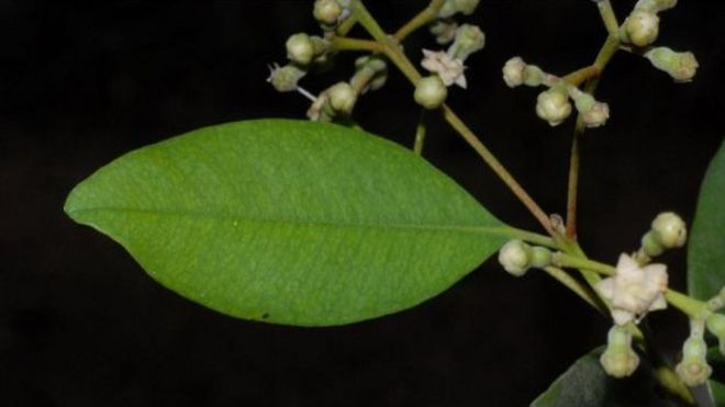 104913265_hoami ÙØªÙجة Ø¨ØØ« Ø§ÙØµÙر ع٠ÙÙÙÙ Ø¥ÙØ±ÙجÙ