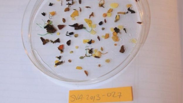 104958895_12 بلاستيك في الماء