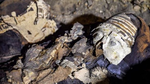 105462251_3 اكتشاف مومياوات أثرية