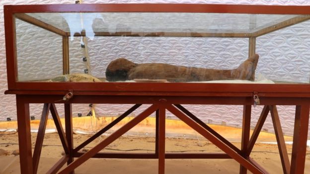 105462276_img-20190202-wa0066 اكتشاف مومياوات أثرية