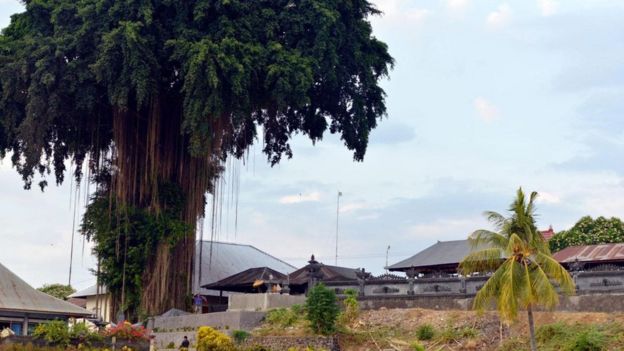 105755368_8b66a530-fbcd-4699-8891-2b4ef054cd08