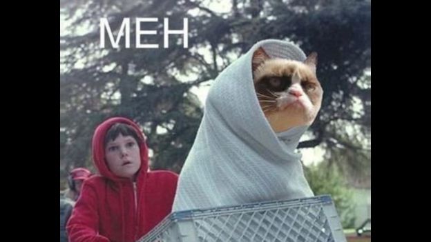 107003680_twitter اÙÙØ·Ø© غراÙ
ب٠Ù٠اÙÙ
ÙØ¯Ù
Ø©