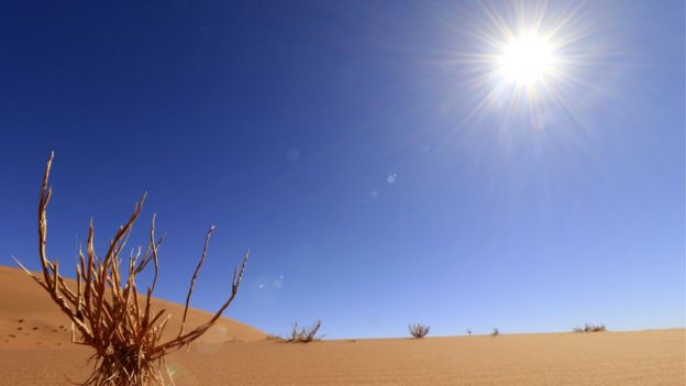 109944225_gettyimages-855520678 صحراء