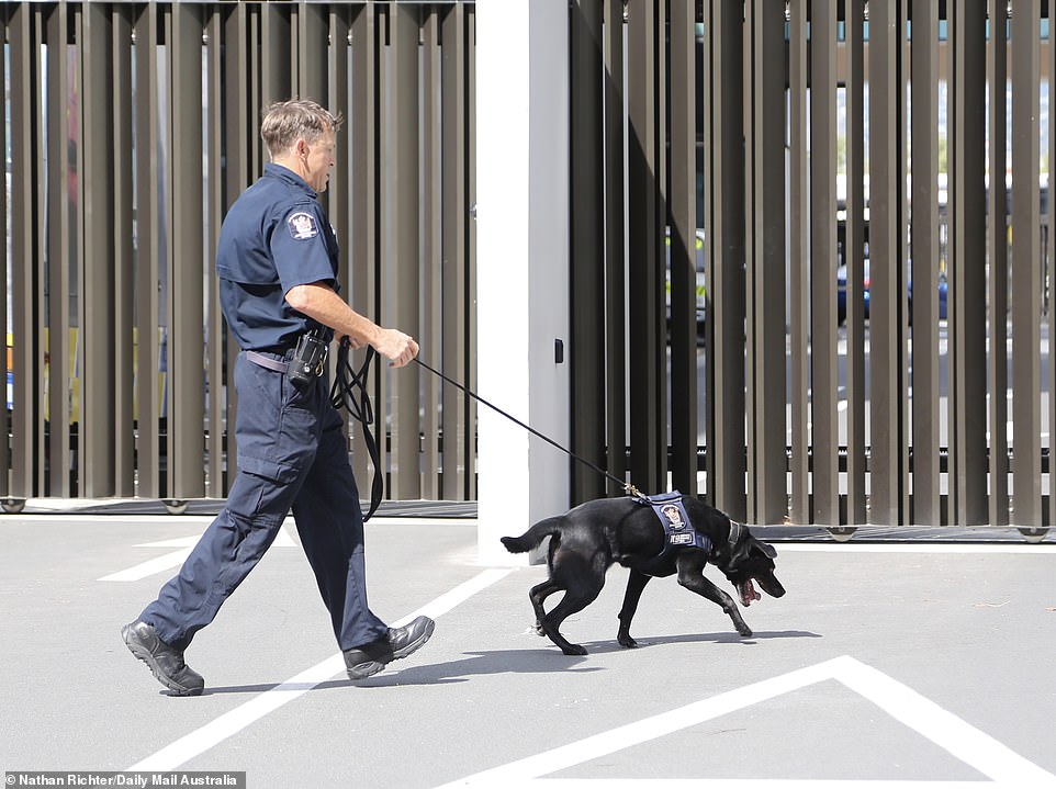 11059956-6815593-image-m-48_1552699625411 Heavily armed police and sniffer dogs were also called in, but police commissioner Mike Bush said there was 'no intelligence about current imminent threats'
