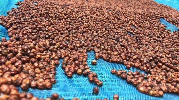 110781663_a0ad0446-61cd-4498-aaf4-4d225d252ed0