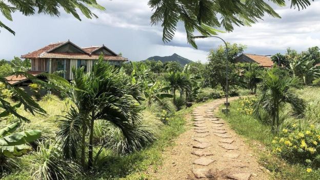 110785688_8a03df26-d564-4553-a83b-e333db4855e0