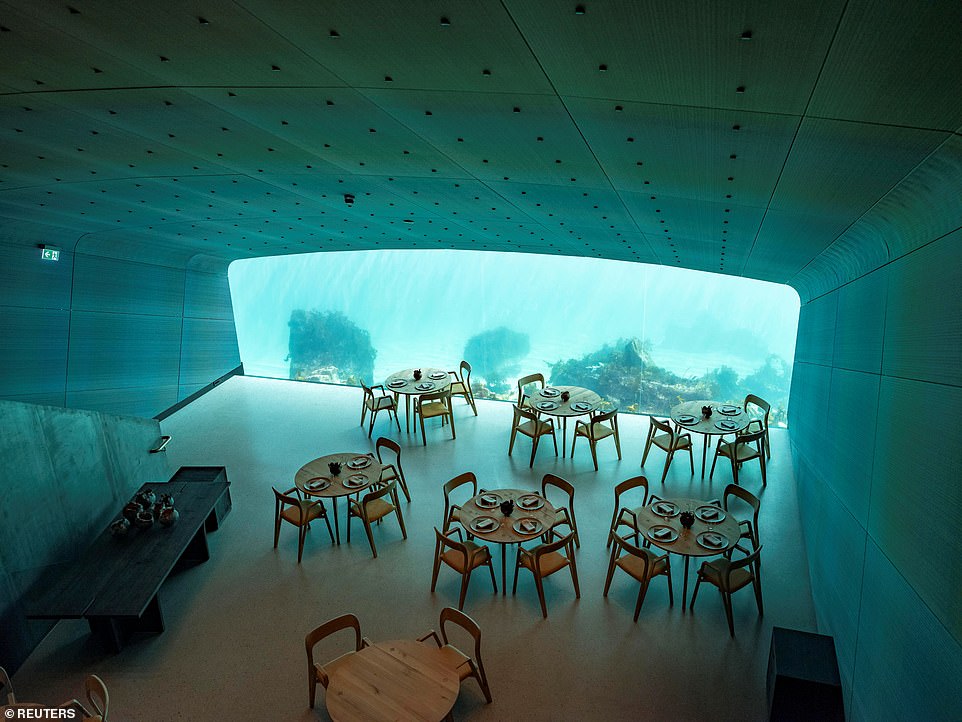 11225570-6829411-image-a-32_1553083812073 The dining room inside Under, Europe's first underwater restaurant, which is opening today off the southern tip of Norway