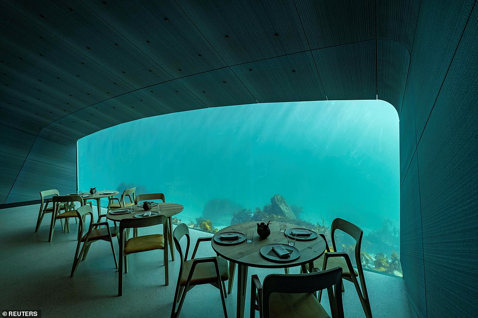 11225728-6829411-image-a-51_1553084142007 Under opens on Wednesday for friends and family of the owners and the first paying guests will be able to visit from early April