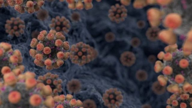 115056008_d9e4213d-1056-4cbd-92c2-3c8bd233db0a كورونا