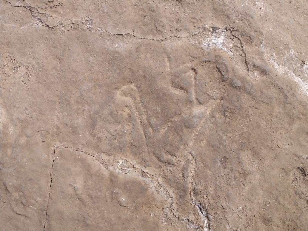 115140-d985d98ad986d8a7d8a1-d984d986d982d984-d8a7d984d8a3d8add8acd8a7d8b1-d985d986-d985d8add8a7d8acd8b1-d8acd8a8d984-d8a7d984d8b3d984d8b3d8a9-6