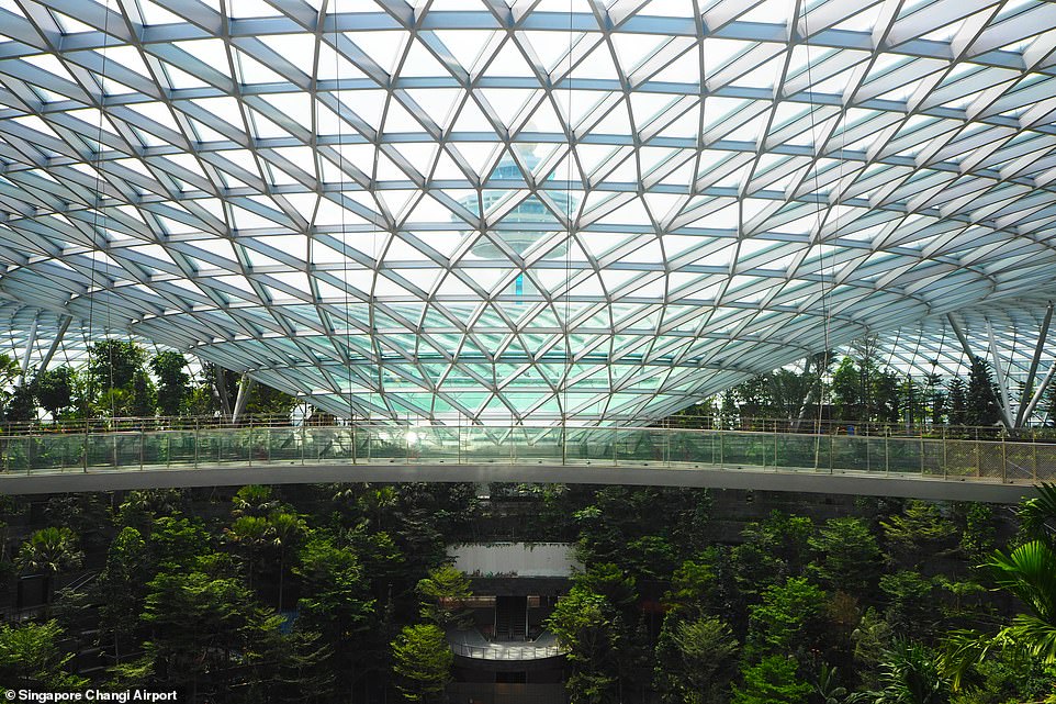 11558870-6859477-image-a-14_1553764768524 The Jewel development has cost £951million to build and will also feature an indoor forest