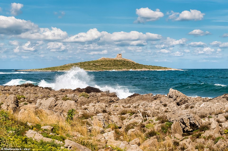 11566700-6860263-image-a-14_1553782605900 The island is being sold by Italian countess Paola Pilo Bacci, whose family have owned the land since the 1600s