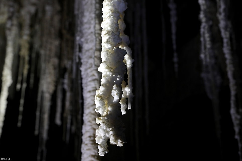 11569480-6858793-image-a-22_1553779518787 Reporters touring the site clambered and crawled through the narrow passages before reaching the "wedding hall," where hundreds of white stalactites of various shapes and lengths created a festive backdrop