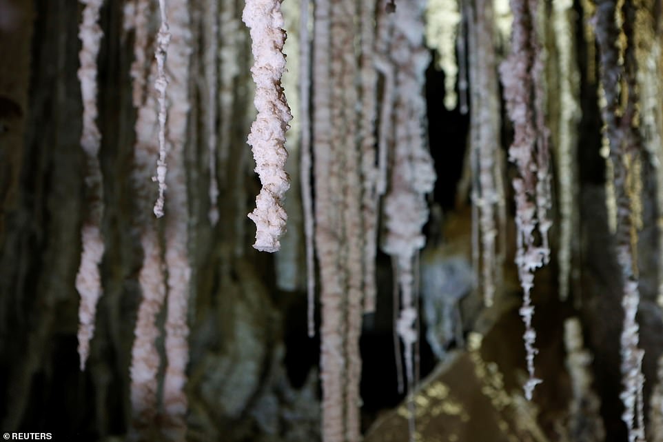 11569576-6858793-image-a-6_1553779403749 Israeli cave explorers said that the series of salt caves and passages with striking stalactites near the Dead Sea is the world's longest, beating the previous record-holder in Iran
