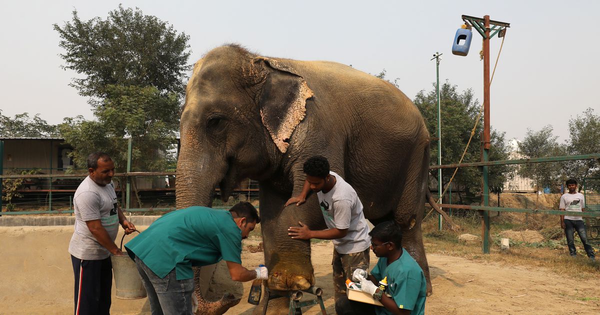 11584277t1h8831 ÙØªÙجة Ø¨ØØ« Ø§ÙØµÙر ع٠ØÙØ§ÙØ¨