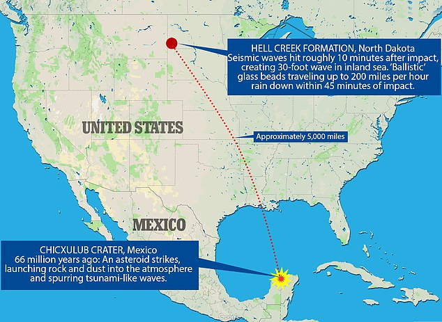 11637314-6865903-image-m-43_1553894271793 ‘Tsunamis from the Chicxulub impact are certainly well-documented, but no one knew how far something like that would go into an inland sea,’ DePalma said. The team determined there were at least two massive waves, which battered the land with about 20 minutes in between