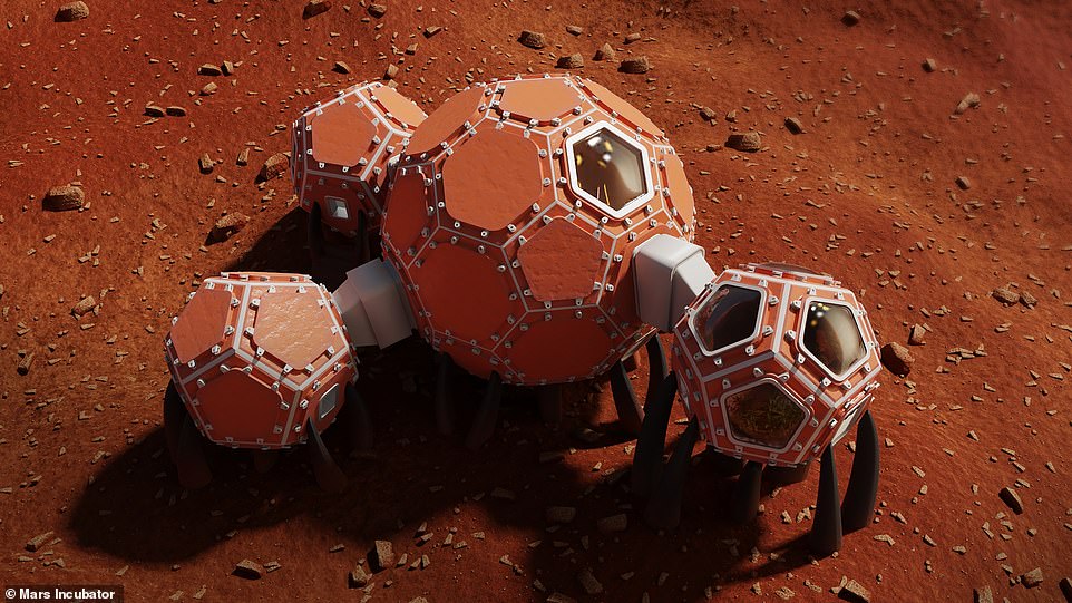 11738610-6874927-image-a-36_1554157098535 NASA has announced three finalists in an ongoing design competition tasking engineers to dream up sustainable dwellings that can be 3-D printed on Mars. Mars incubator design represents a modular look at space dwelling and allows for plenty of natural light.