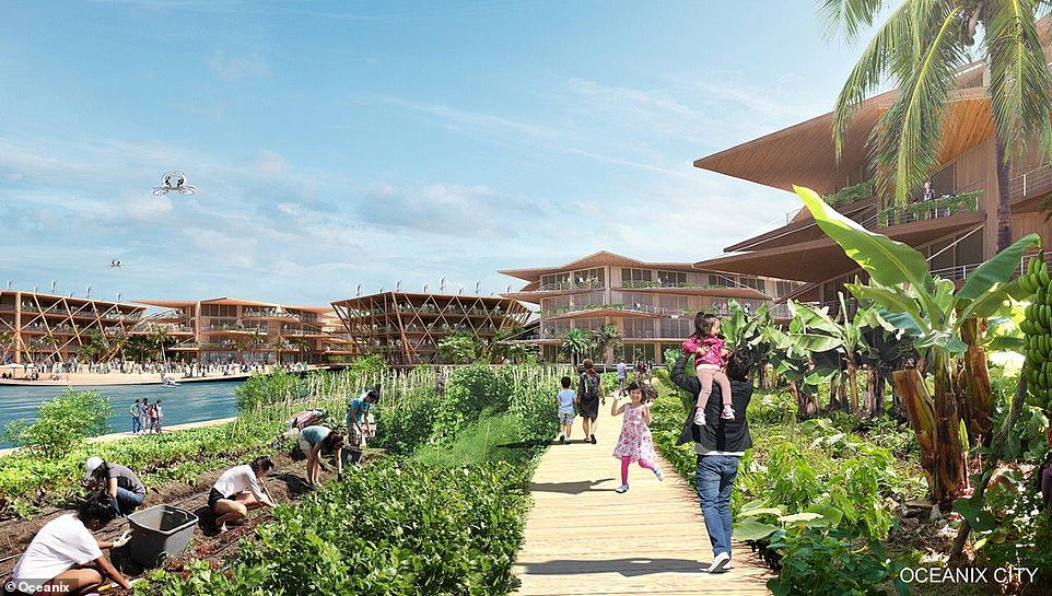 11910742-6886741-image-a-59_1554478951342 The vision for floating cities has raised questions over whether they could divert attention from dealing with the root causes of climate change, which by boosting sea levels threatens low-lying coastal communities with storm surges and flooding