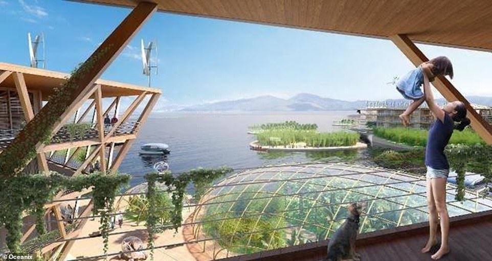 11910752-6886741-image-a-55_1554478929657 UN-Habitat, which works on sustainable urban development, will team up with private firm Oceanix, the Massachusetts Institute of Technology and The Explorers Club, a professional society, to advance the concept